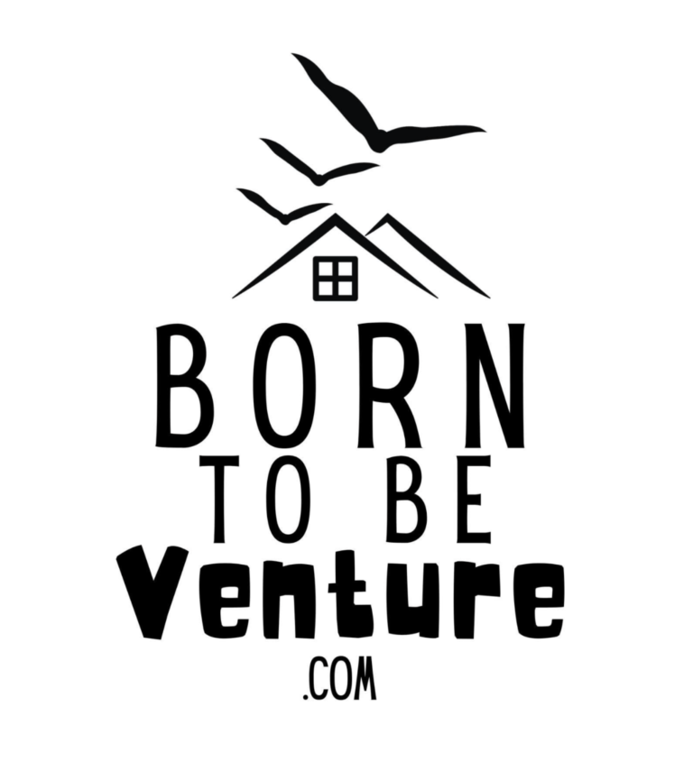 BRONZE BORN TO VENTURE